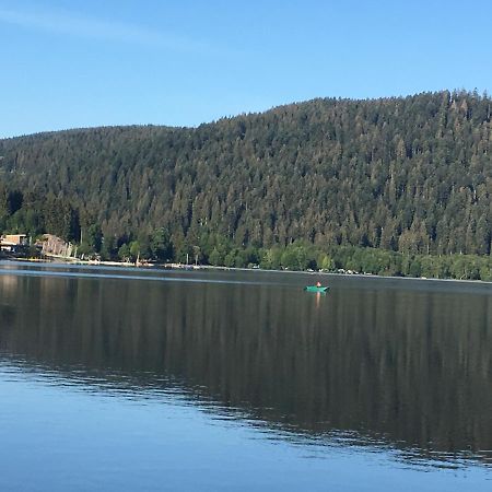 Le Ptit Hotel Du Lac Gerardmer Exterior photo